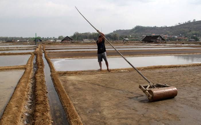 Persiapan Lahan Tambak
