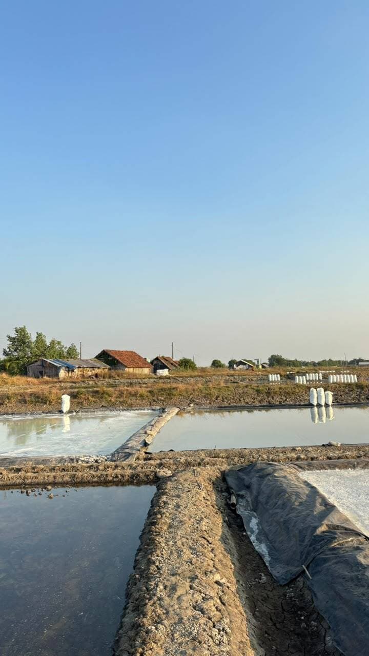 Dokumentasi Garam Tedunan 4